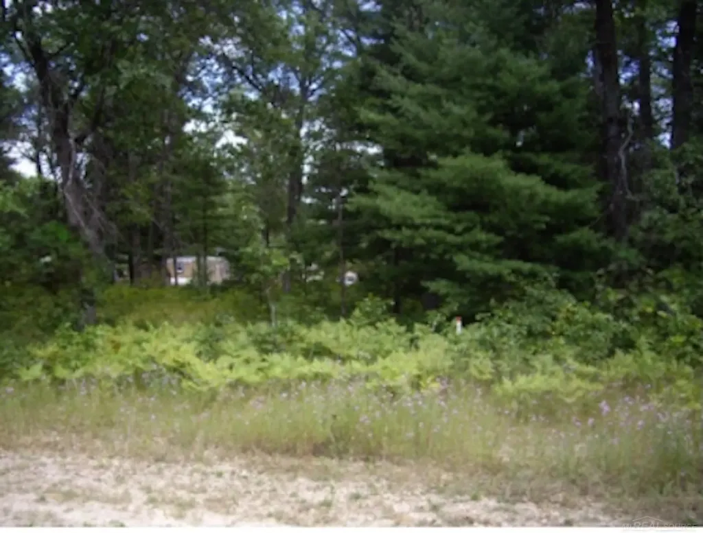 Pinecone Court Unknown City MI 48651