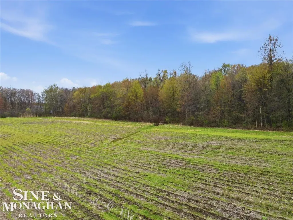 Ville Meisner Road China Township MI 48054