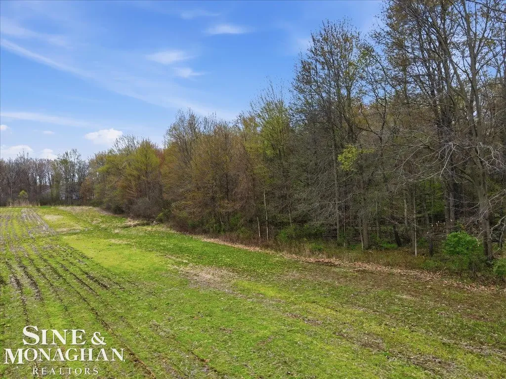 Ville Meisner Road China Township MI 48054