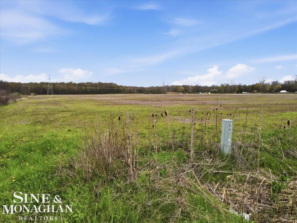 Ville Meisner Road China Township MI 48054