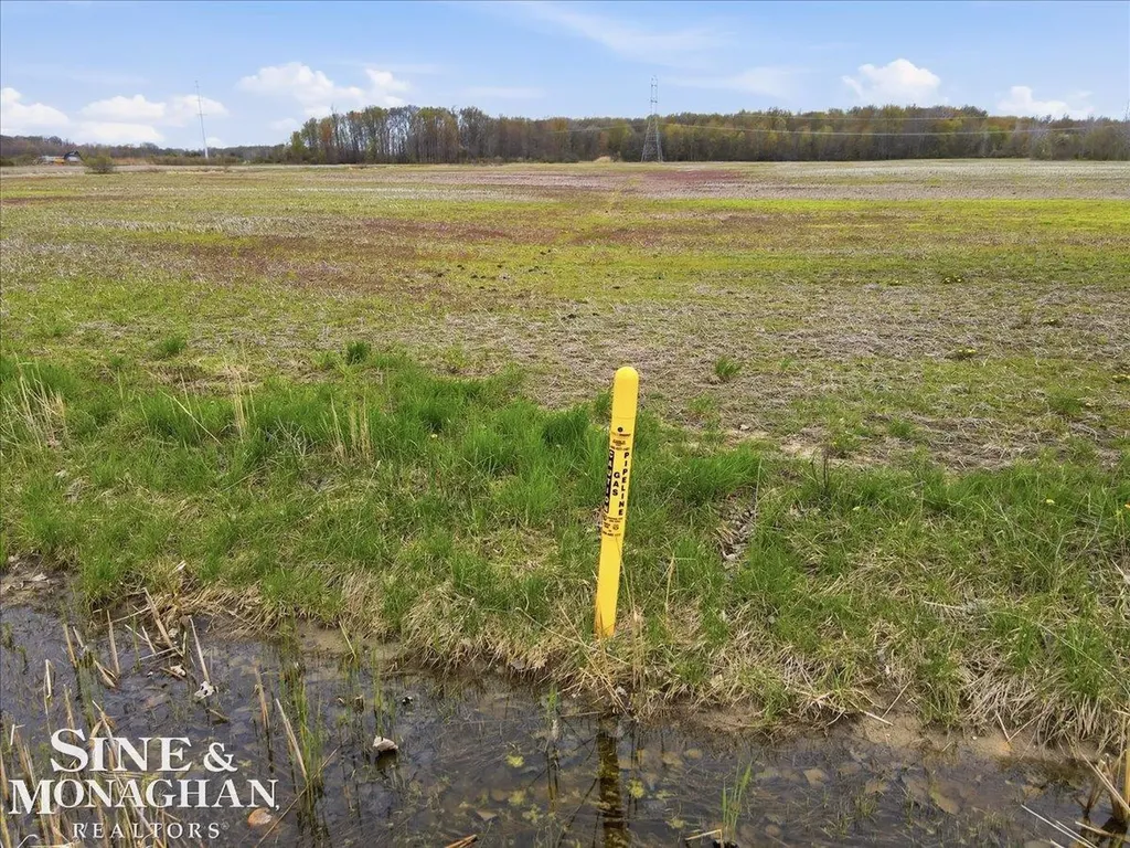 Ville Meisner Road China Township MI 48054