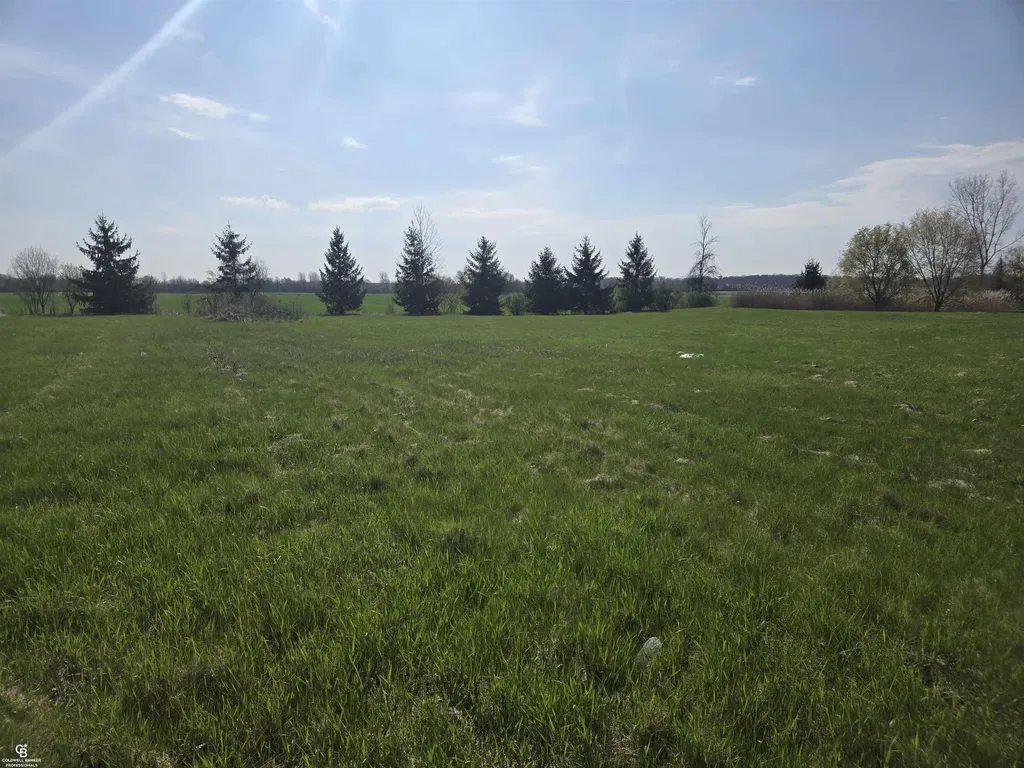 0 Brockway Vl Road Brockway Township MI 48097