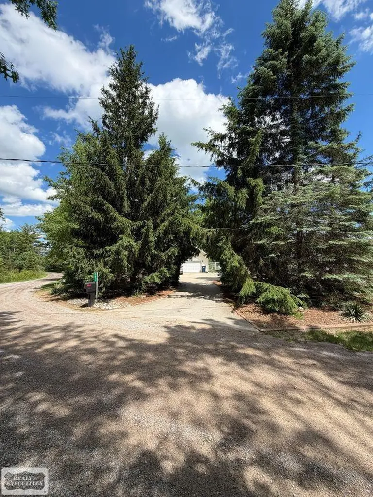 6651 Tamarack Freeman Township MI 48632