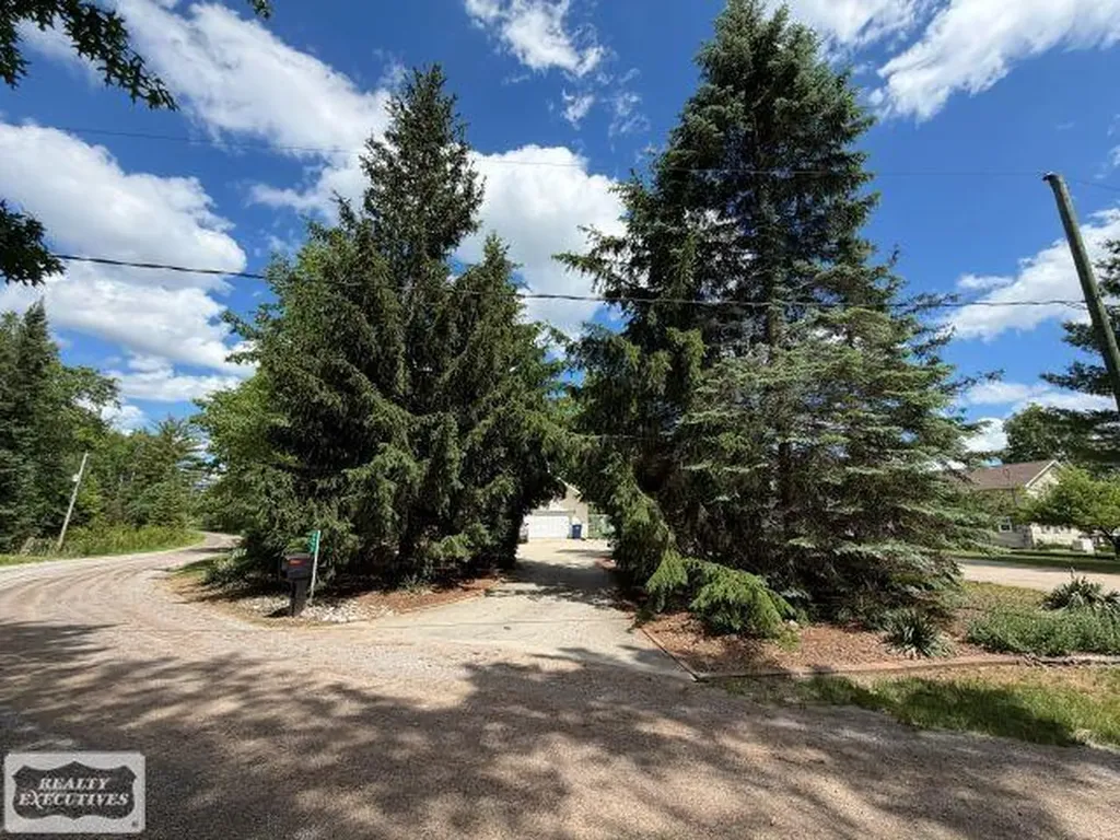 6651 Tamarack Freeman Township MI 48632