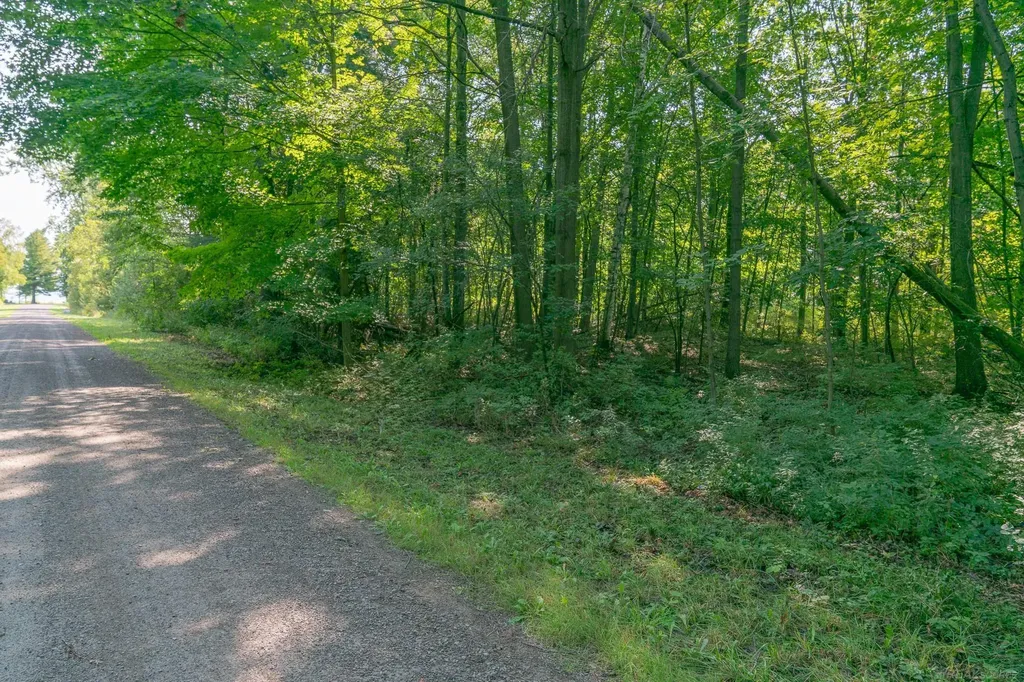 00 Schott Road Sand Beach Township MI 48441