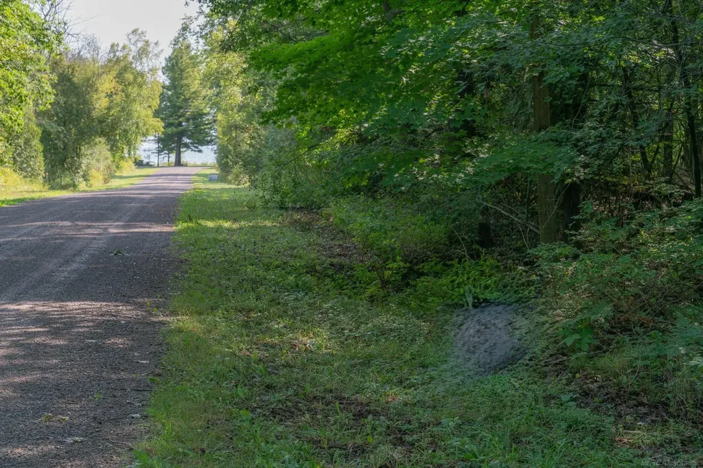 00 Schott Road Sand Beach Township MI 48441