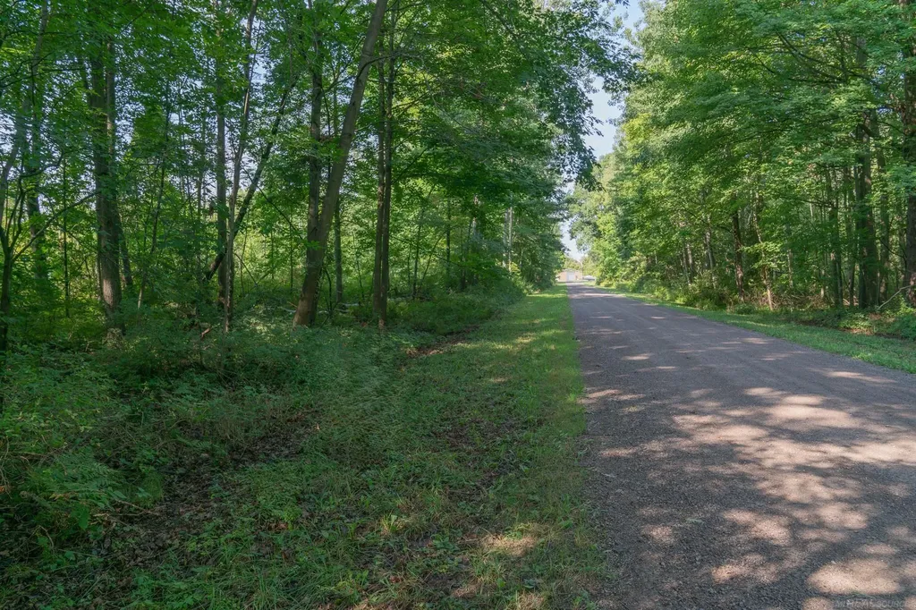 00 Schott Road Sand Beach Township MI 48441