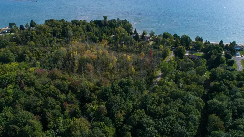 00 Schott Road Sand Beach Township MI 48441