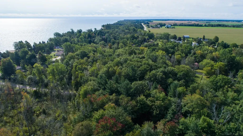 Lakeview Drive Sand Beach Township MI 48441