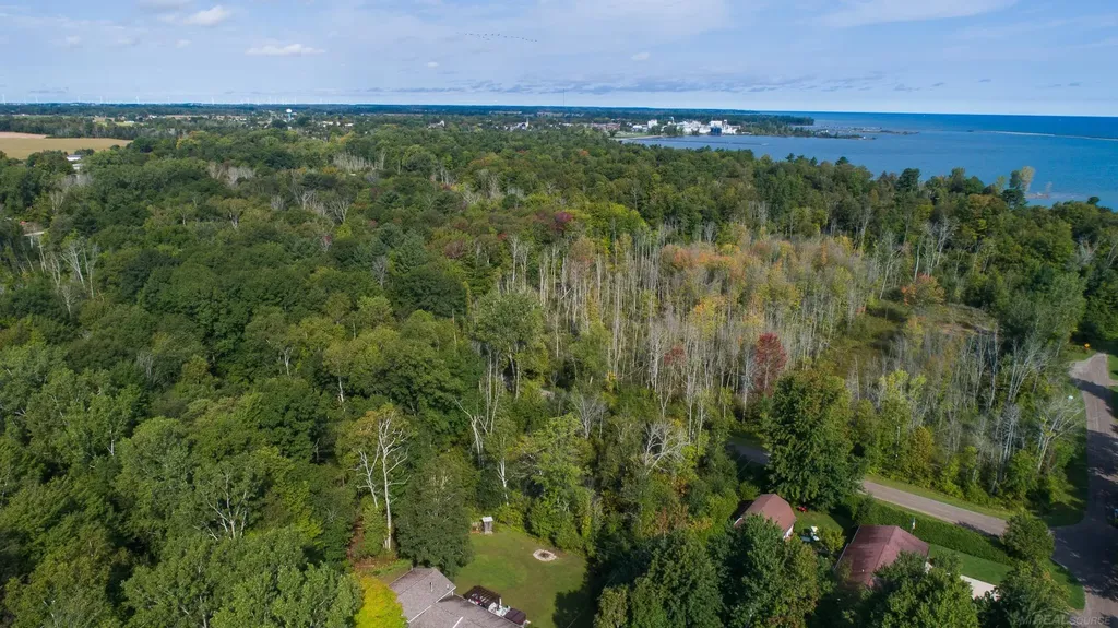 Lakeview Drive Sand Beach Township MI 48441