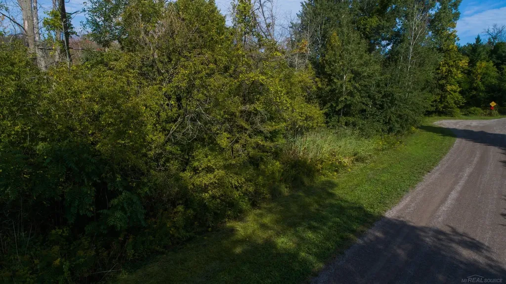 Lakeview Drive Sand Beach Township MI 48441