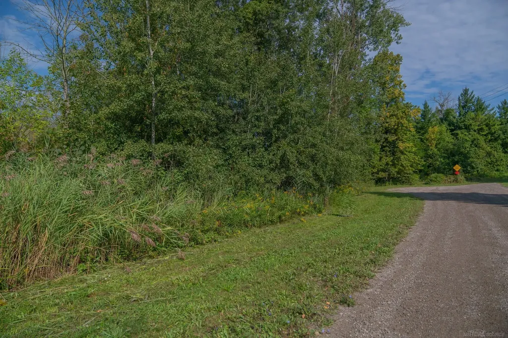 Lakeview Drive Sand Beach Township MI 48441