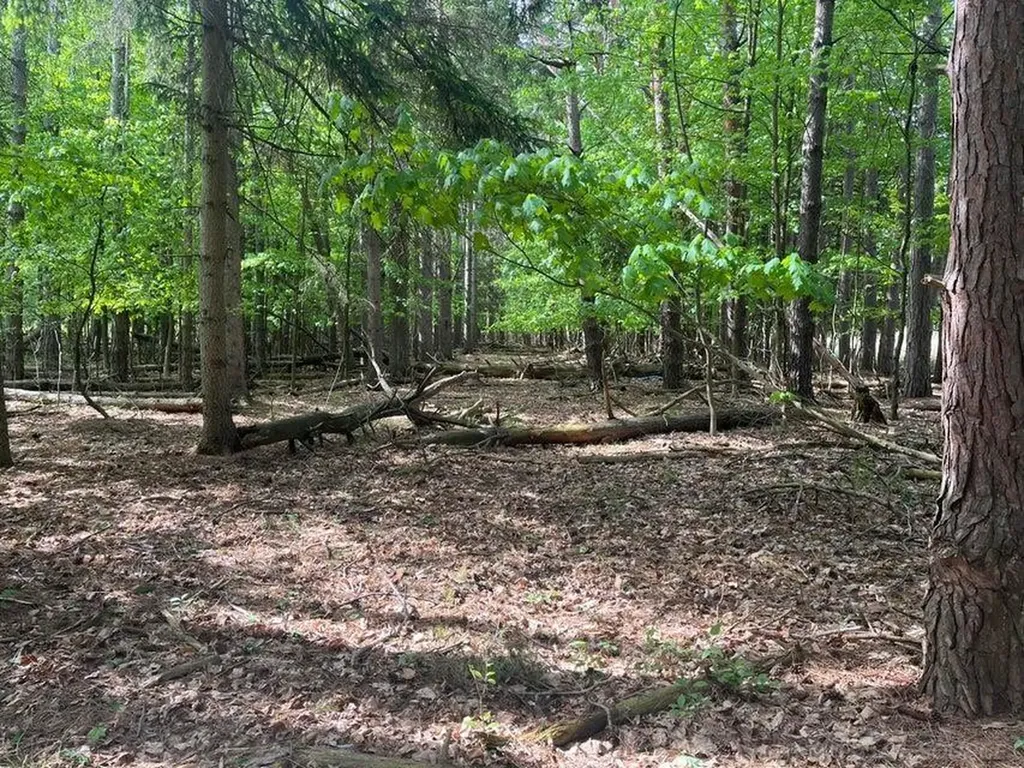 00 Mortimer Line Road Worth Township MI 48422