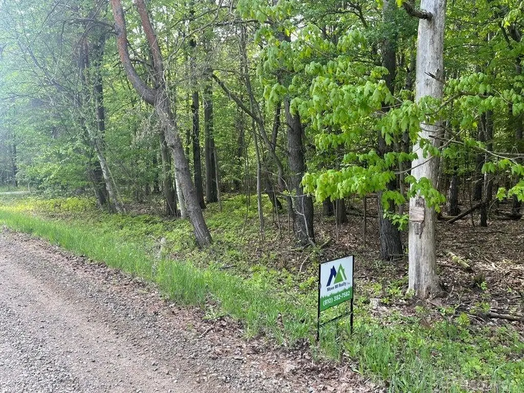 00 Mortimer Line Road Worth Township MI 48422