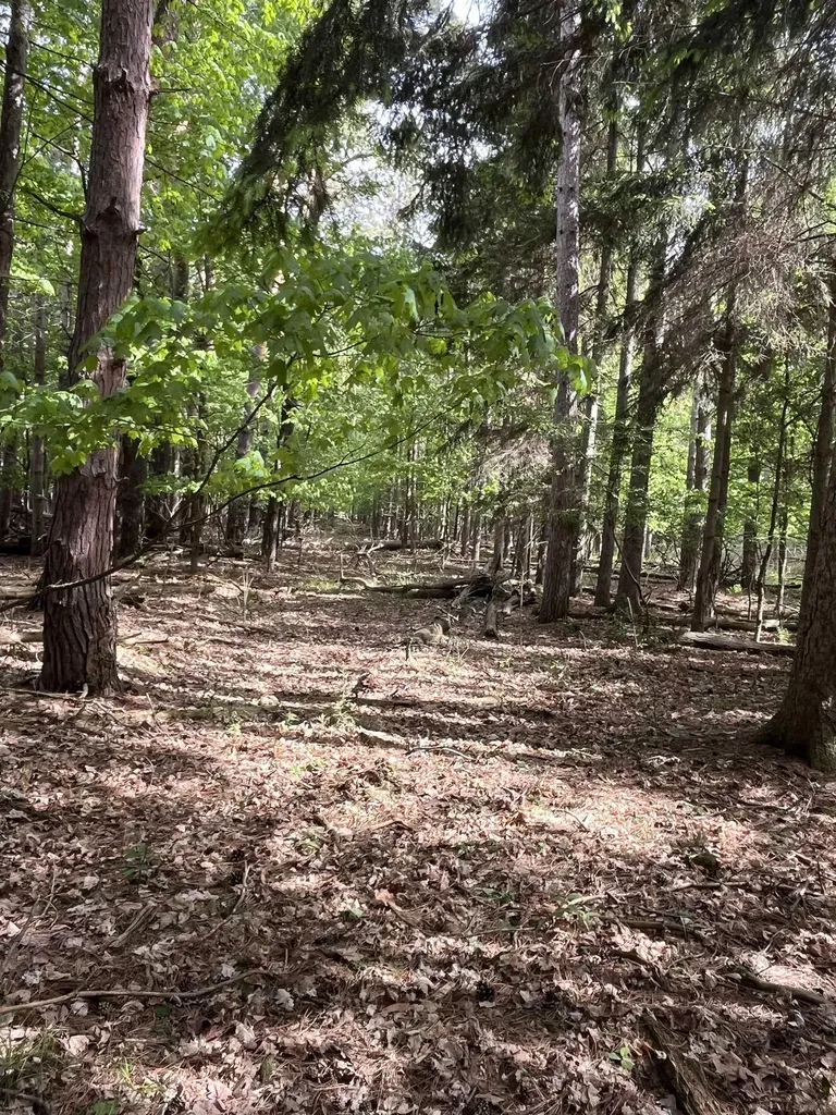00 Mortimer Line Road Worth Township MI 48422