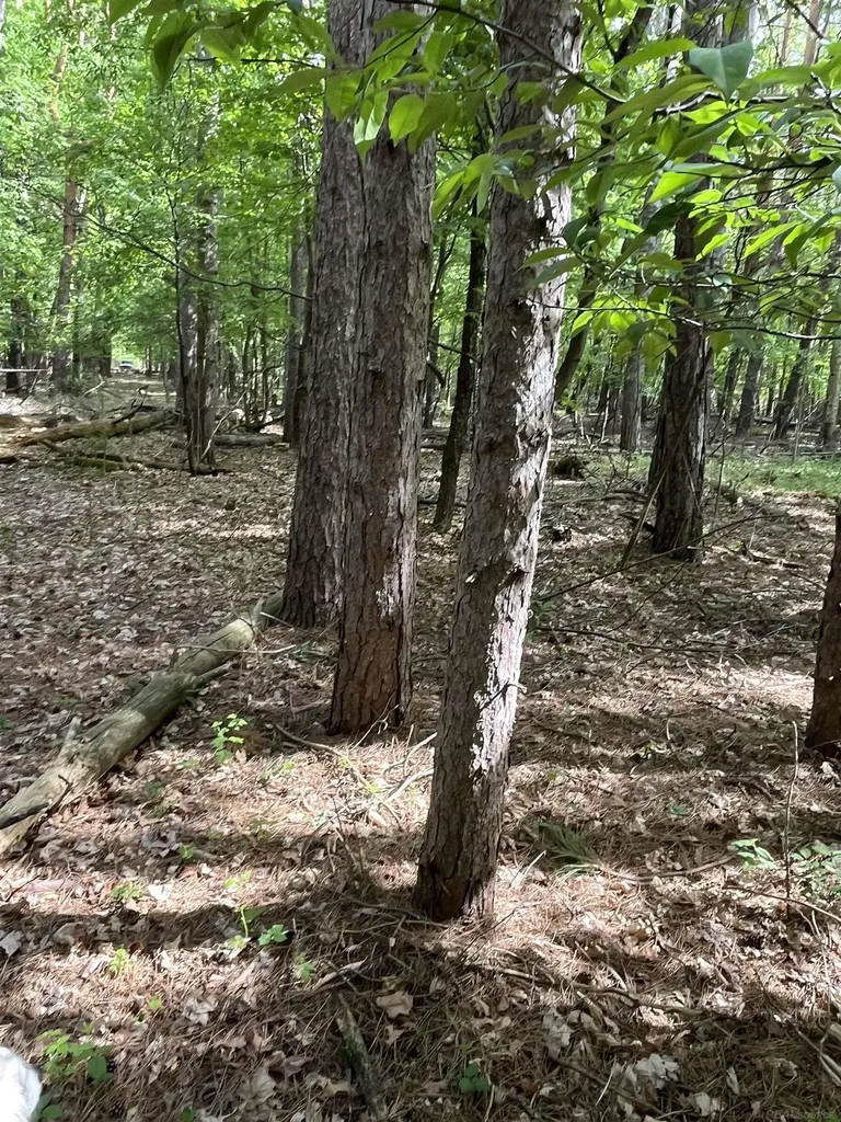 00 Mortimer Line Road Worth Township MI 48422