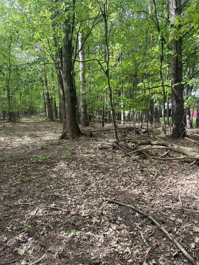 00 Mortimer Line Road Worth Township MI 48422