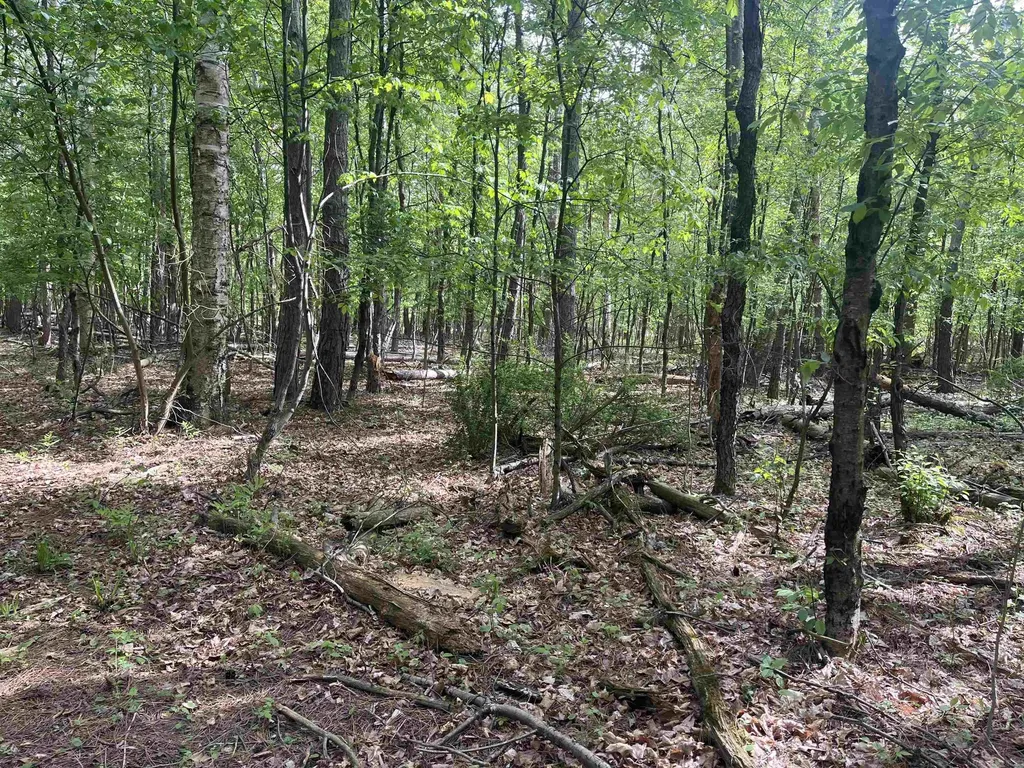 00 Mortimer Line Road Worth Township MI 48422