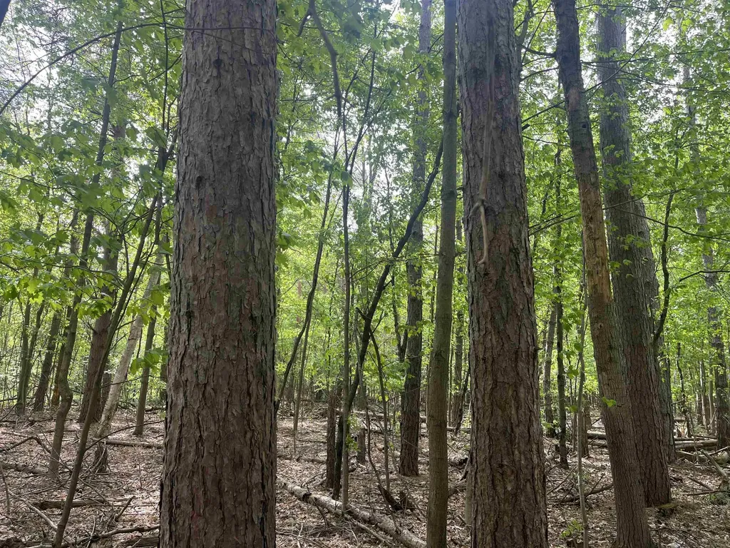 00 Mortimer Line Road Worth Township MI 48422