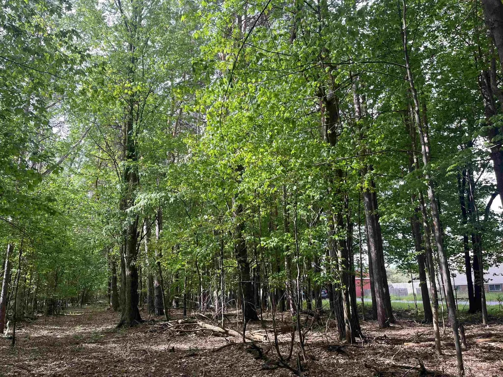 00 Mortimer Line Road Worth Township MI 48422