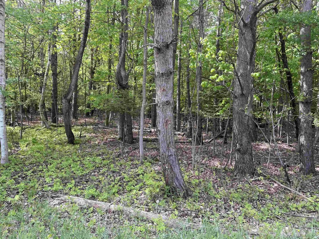 00 Mortimer Line Road Worth Township MI 48422
