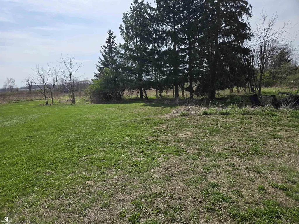 16433 Dudley Road Lynn Township MI 48416