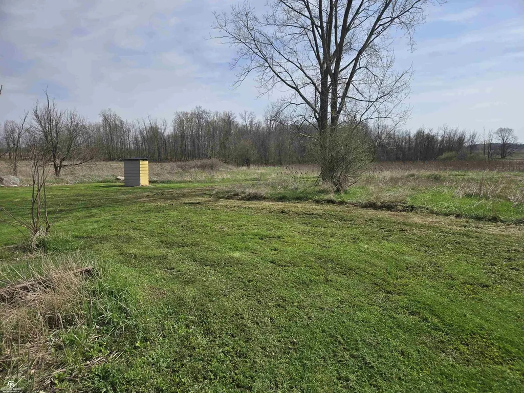 16433 Dudley Road Lynn Township MI 48416