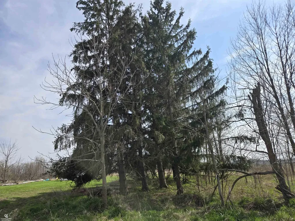 16433 Dudley Road Lynn Township MI 48416