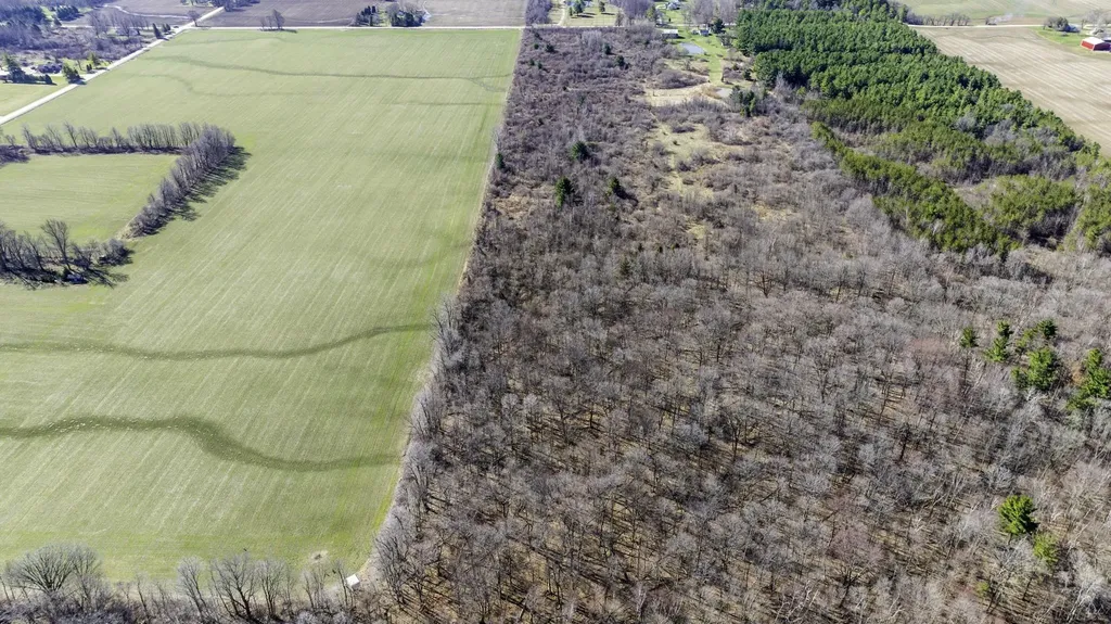 Ville Mortimer Line Road Worth Township MI 48422