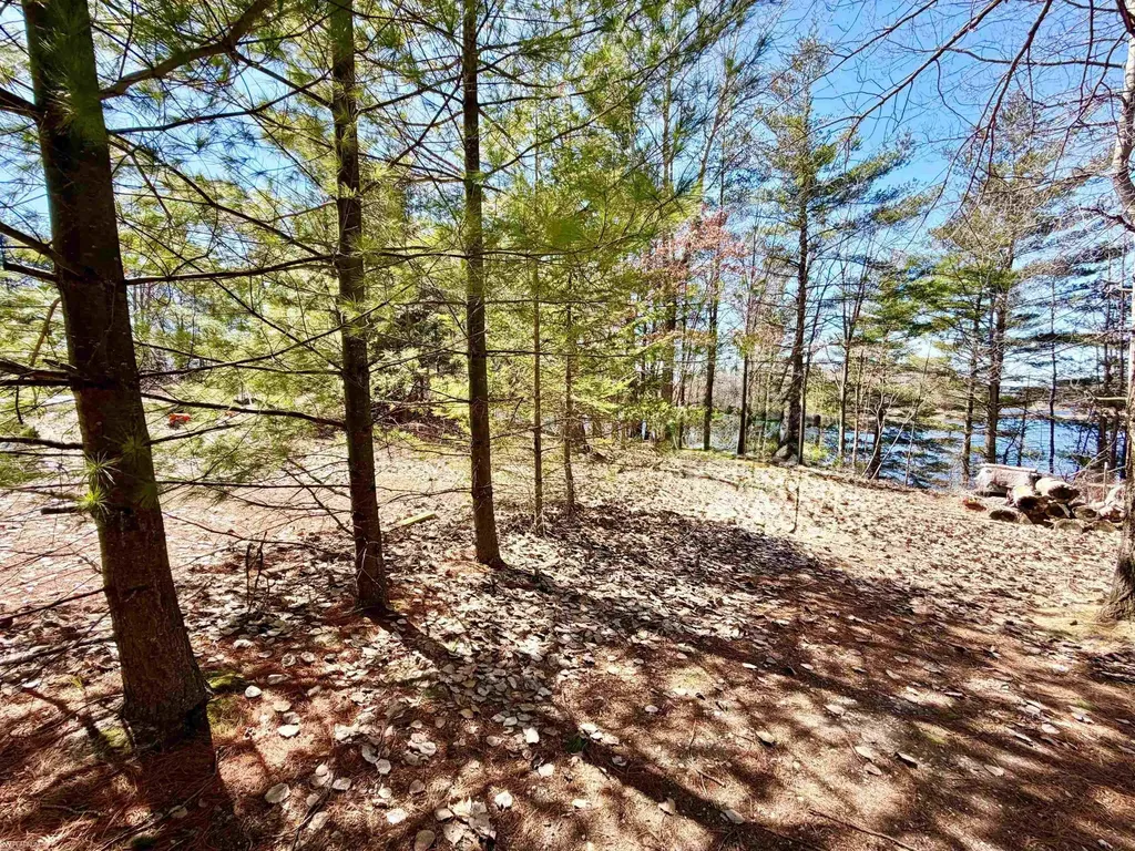 4827 Diehl Trail Logan Township MI 48739
