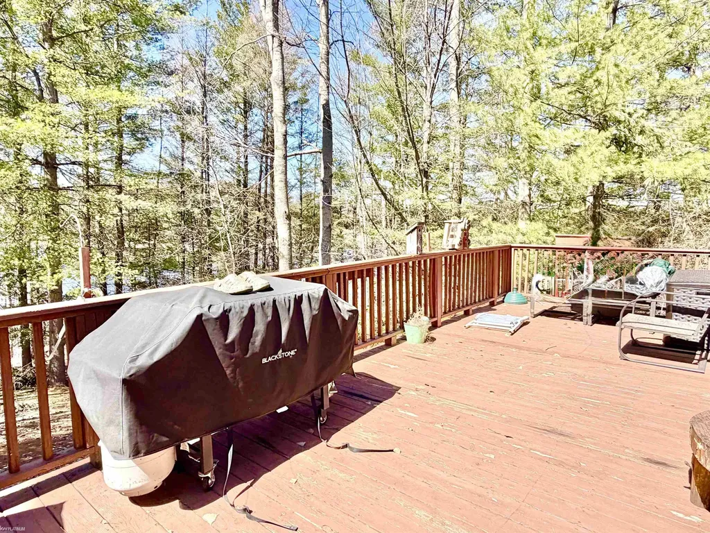 4827 Diehl Trail Logan Township MI 48739