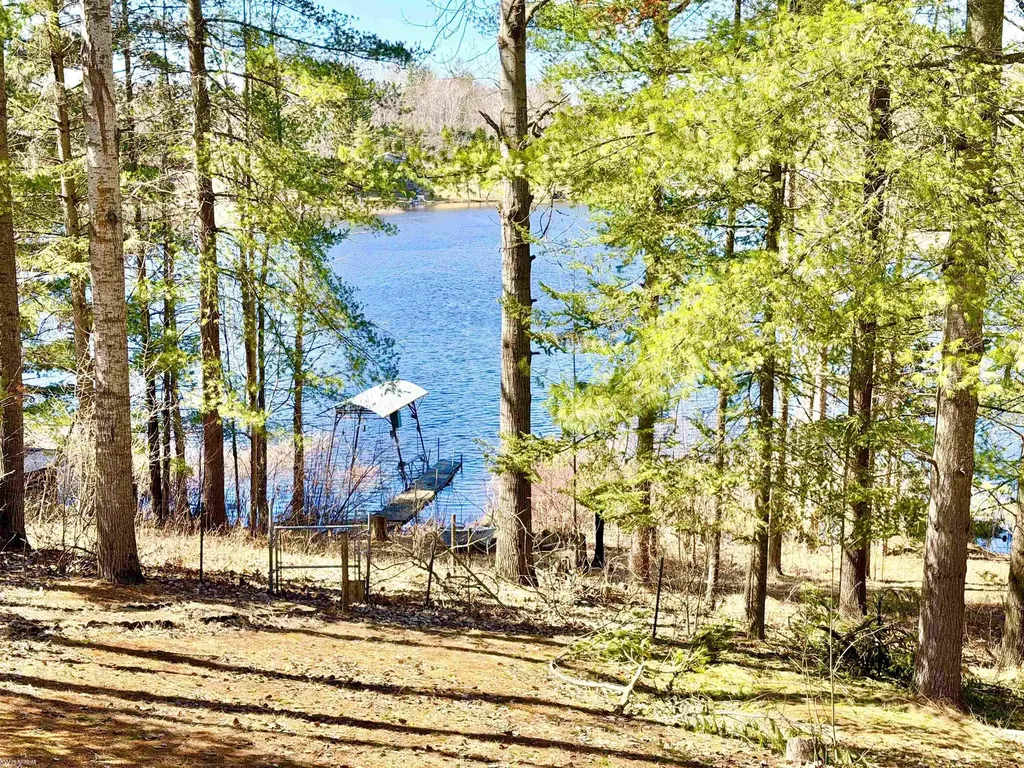 4827 Diehl Trail Logan Township MI 48739