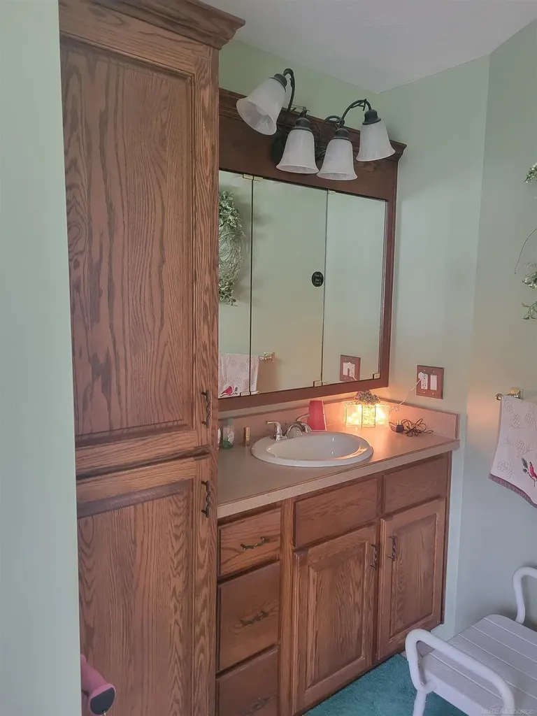 6249 Wolverine Trail Moffatt Township MI 48610