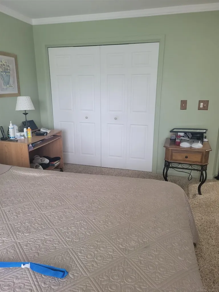 6249 Wolverine Trail Moffatt Township MI 48610
