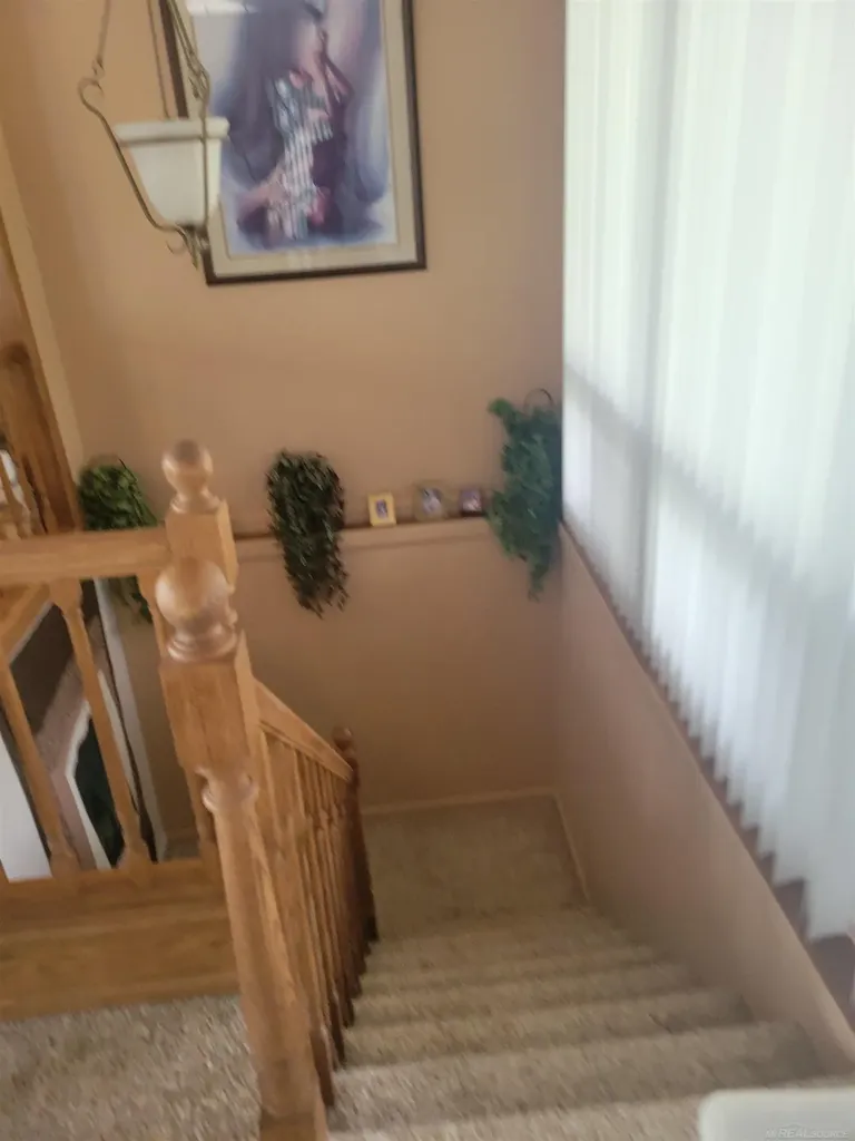 6249 Wolverine Trail Moffatt Township MI 48610