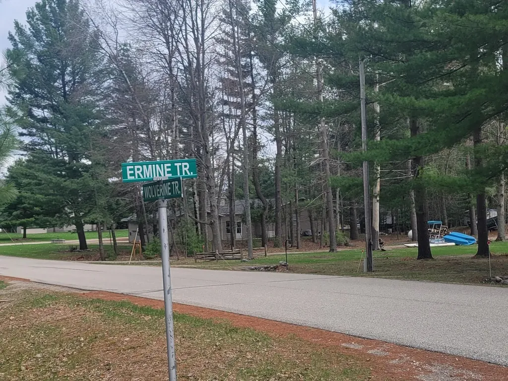 6249 Wolverine Trail Moffatt Township MI 48610