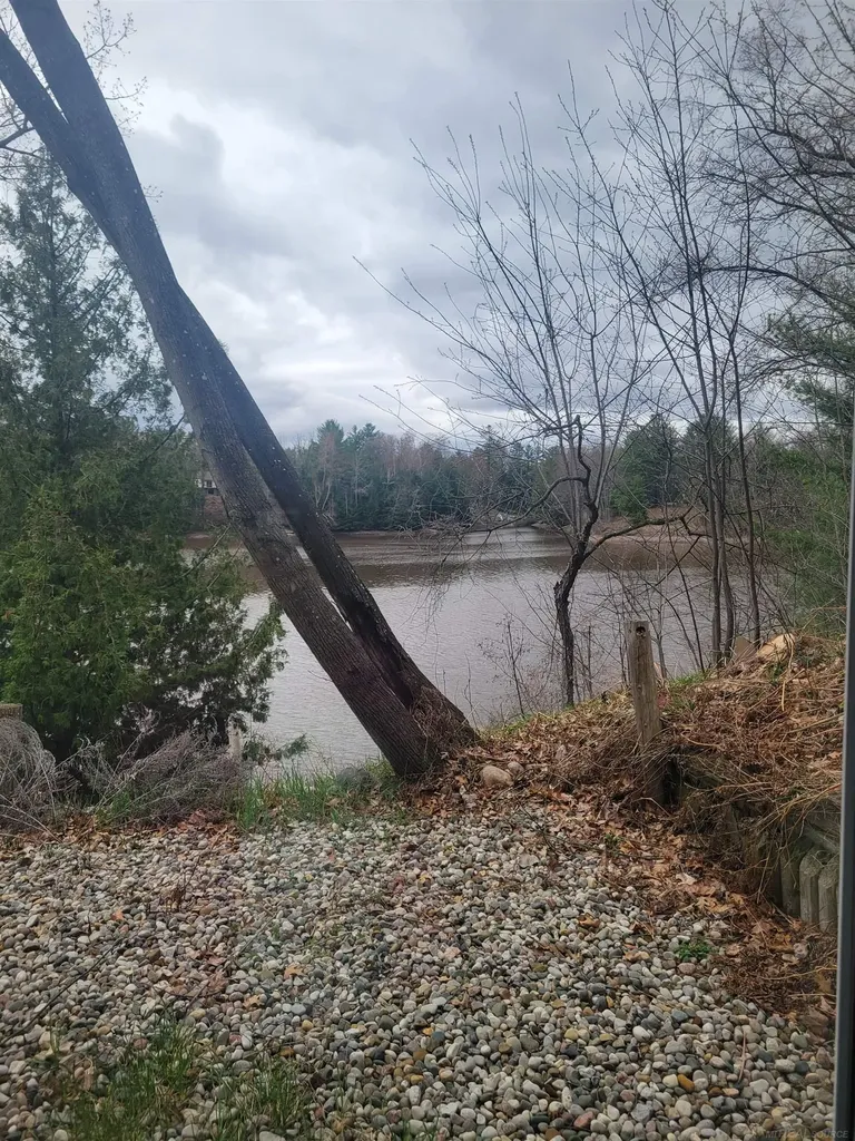6249 Wolverine Trail Moffatt Township MI 48610