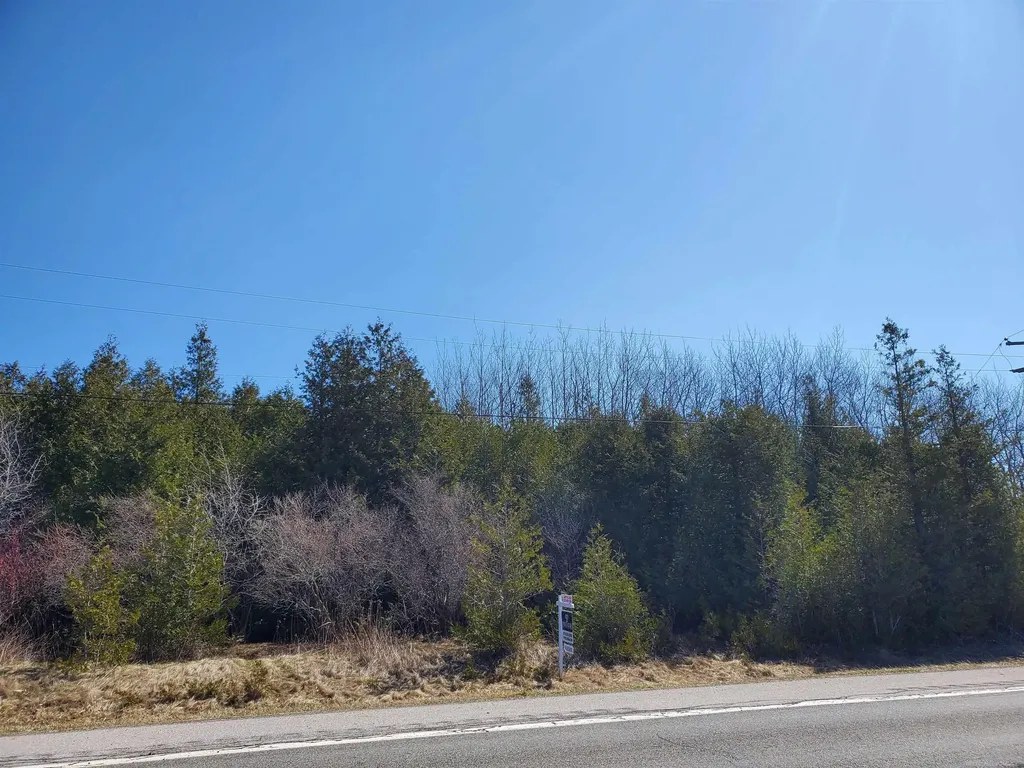 Ville S Lakeshore Road Sherman Township MI 48441