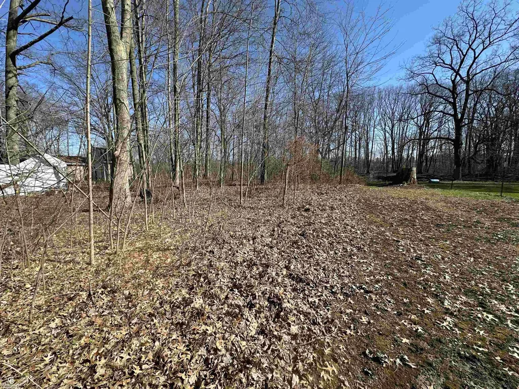0 Woodland Ln Lane East China Township MI 48054