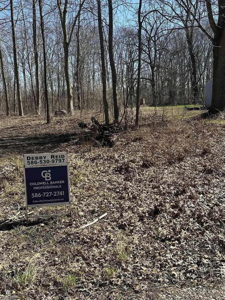 0 Woodland Ln Lane East China Township MI 48054