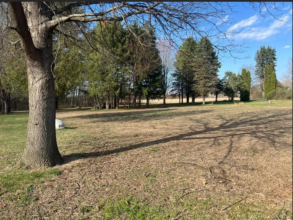 24496 Renata Drive Macomb Township MI 48042