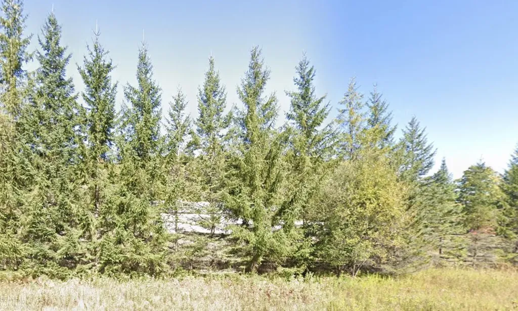 2565 S Larks Lake Road Harbor Springs City MI 49740