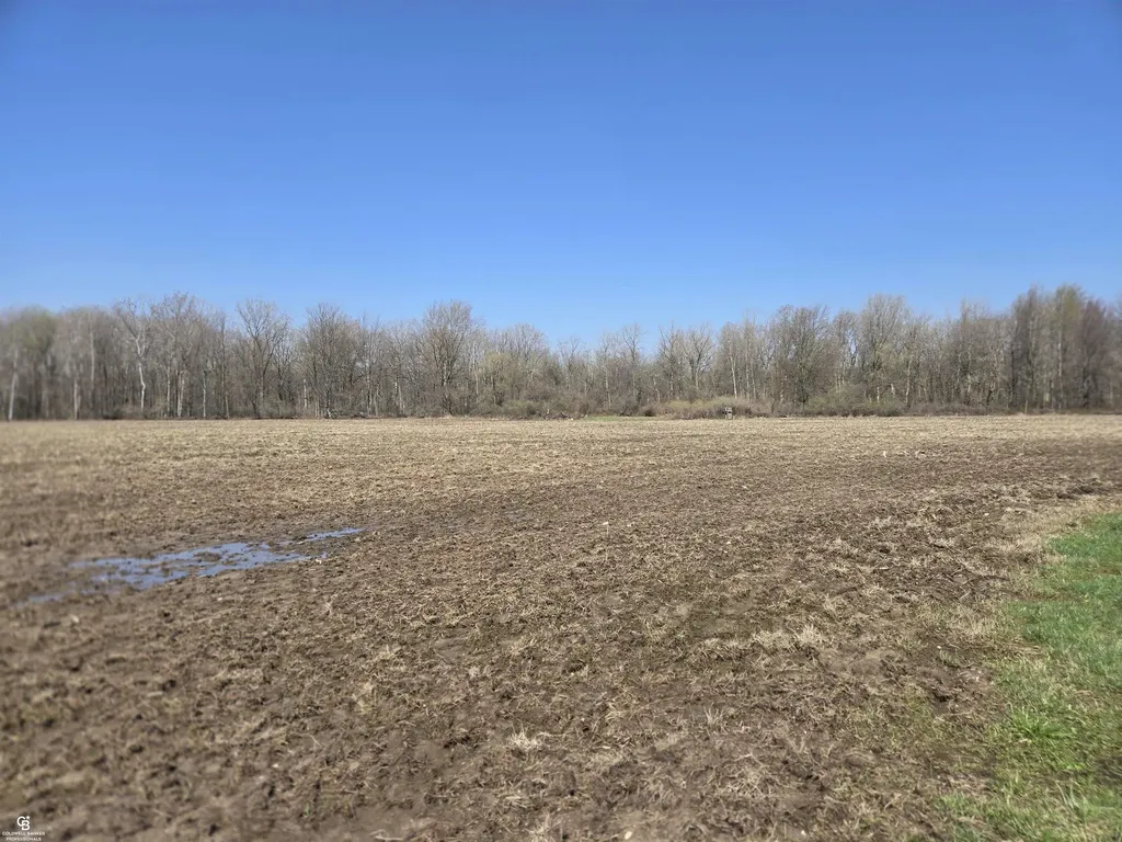 1182 Fetting Vl Road Watertown Township MI 48471