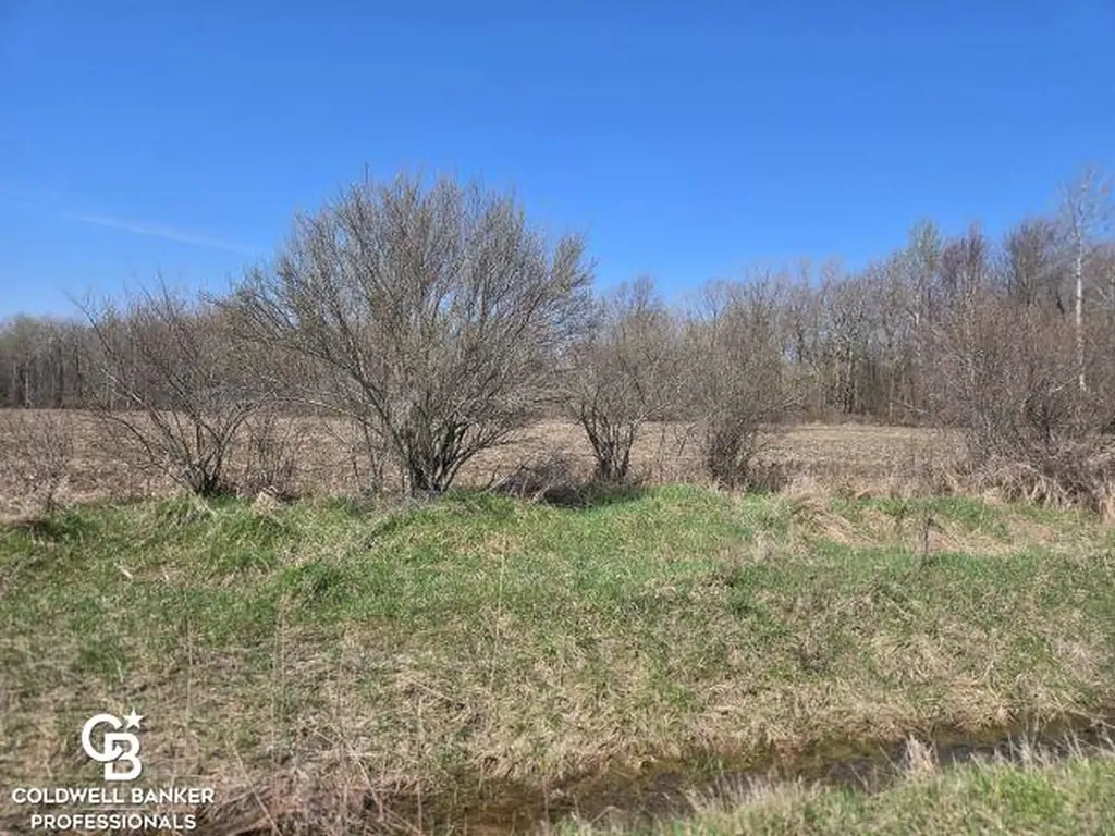 1182 Fetting Vl Road Watertown Township MI 48471
