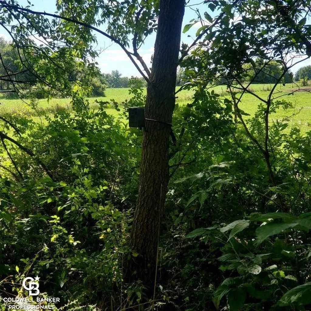 1182 Fetting Vl Road Watertown Township MI 48471