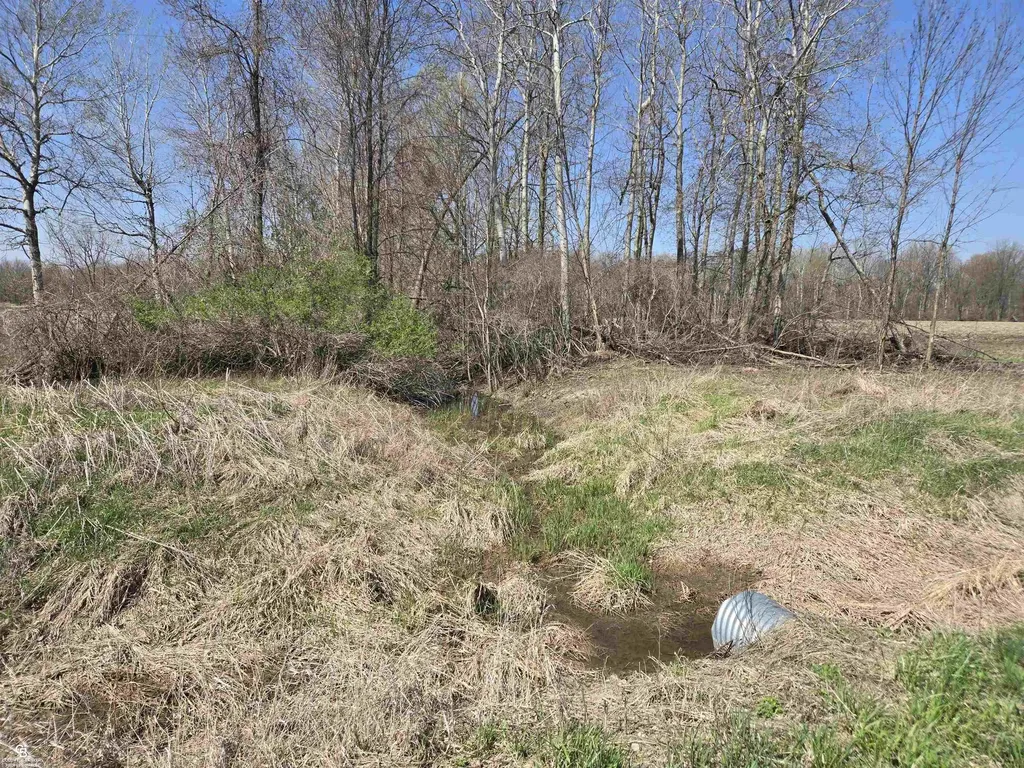 1182 Fetting Vl Road Watertown Township MI 48471