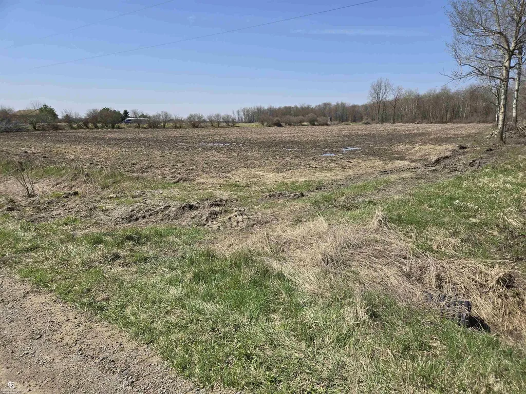 1182 Fetting Vl Road Watertown Township MI 48471