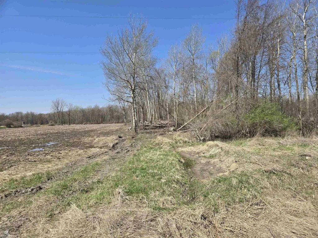1182 Fetting Vl Road Watertown Township MI 48471