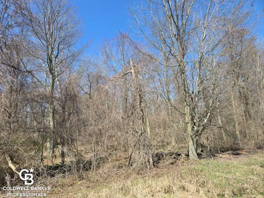 1182 Fetting Vl Road Watertown Township MI 48471