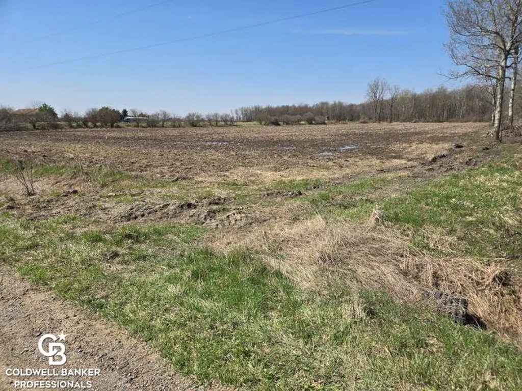 1182 Fetting Vl Road Watertown Township MI 48471